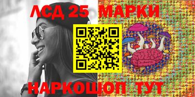 ПСИЛОЦИБИНОВЫЕ ГРИБЫ Кулебаки