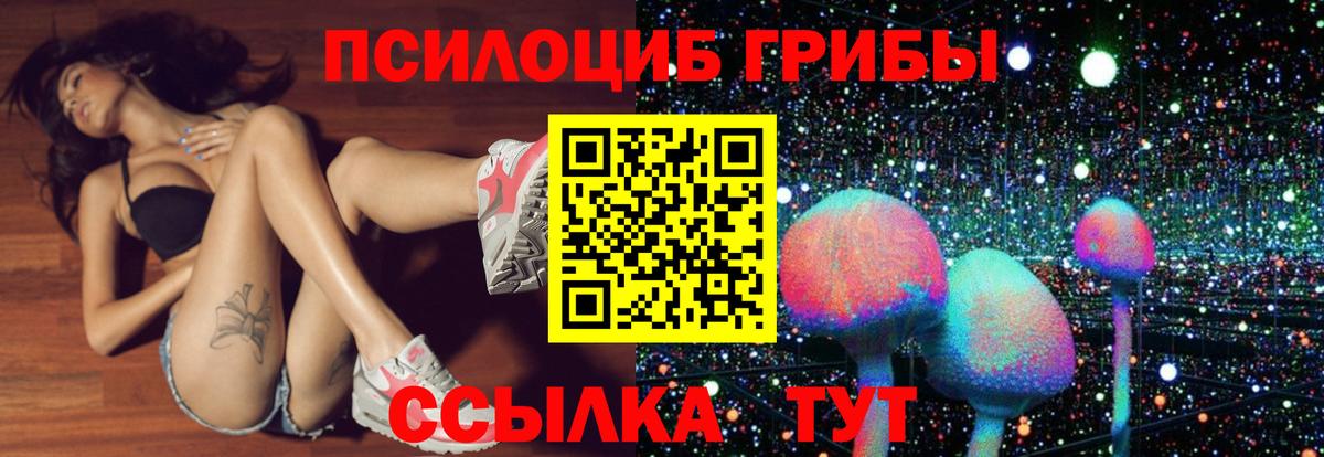 Псилоцибиновые грибы Magic Shrooms Сухой Лог