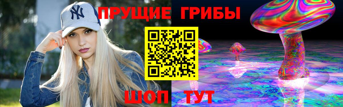 Галлюциногенные грибы MAGIC MUSHROOMS  Вход с VPN  Сухой Лог  купить наркотики цена  Псилоцибиновые грибы MAGIC MUSHROOMS 